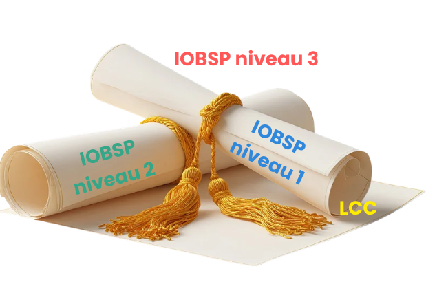 Crédit conso : la formation LCC devient une véritable capacité professionnelle